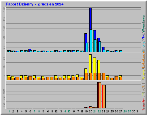 Raport Dzienny -  grudzień 2024