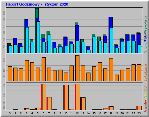 Raport Godzinowy -  styczeń 2020