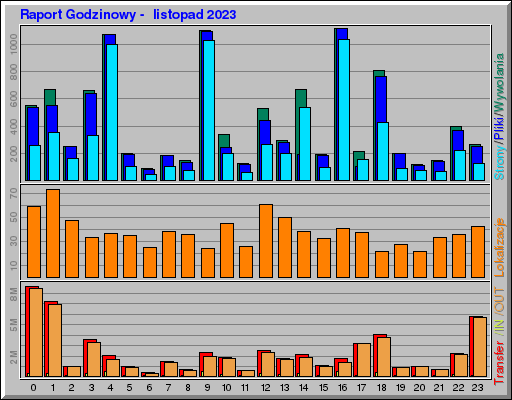 Raport Godzinowy -  listopad 2023