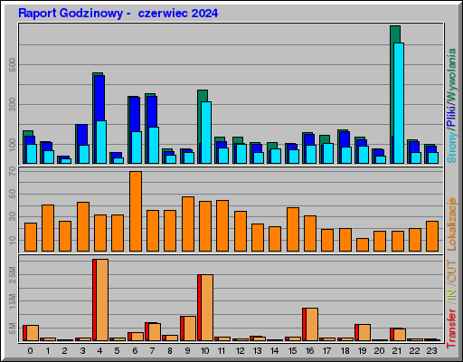 Raport Godzinowy -  czerwiec 2024