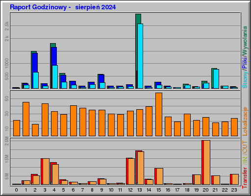 Raport Godzinowy -  sierpień 2024