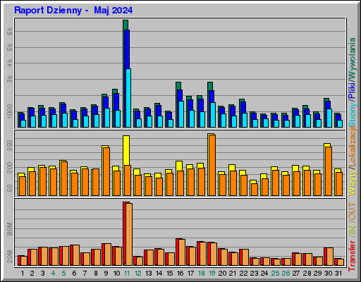 Raport Dzienny -  Maj 2024