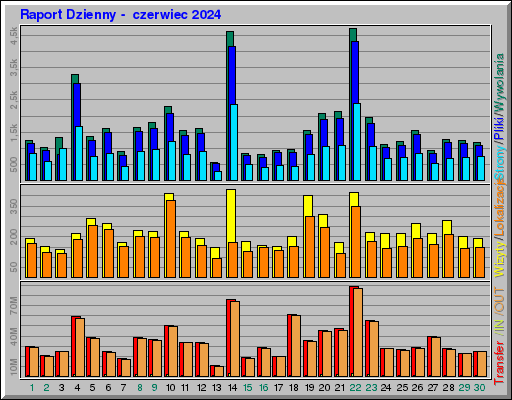 Raport Dzienny - czerwiec 2024 Raport Dzienny - czerwiec 2024