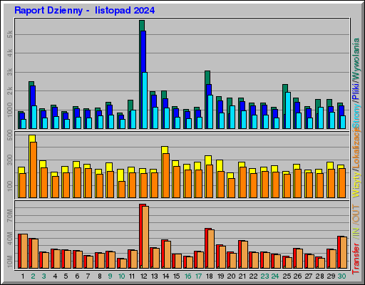 Raport Dzienny - listopad 2024 Raport Dzienny - listopad 2024