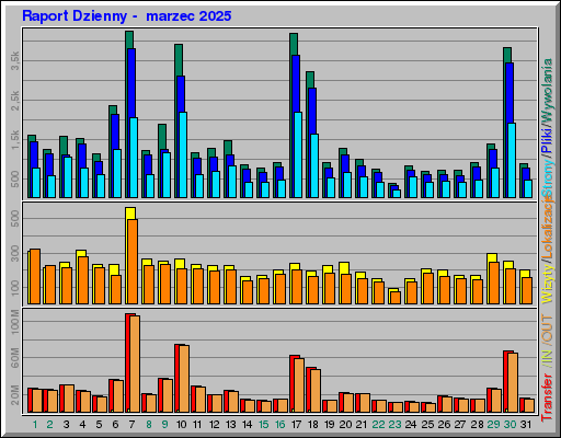 Raport Dzienny -  marzec 2025