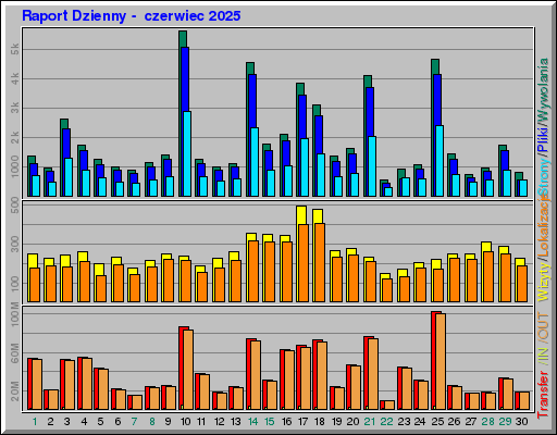 Raport Dzienny -  czerwiec 2025