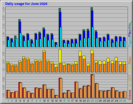 Raport Dzienny -  czerwiec 2024