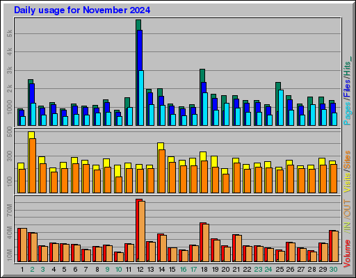 Raport Dzienny -  listopad 2024