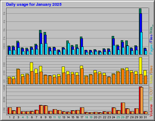 Raport Dzienny -  styczeń 2025