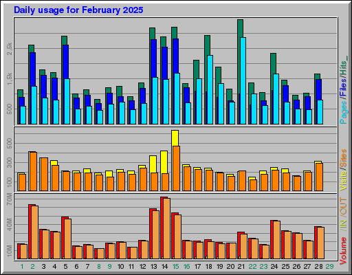 Raport Dzienny -  luty 2025
