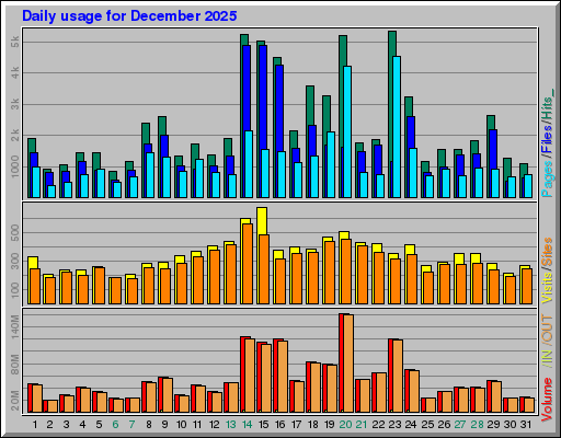 Raport Dzienny -  grudzień 2025