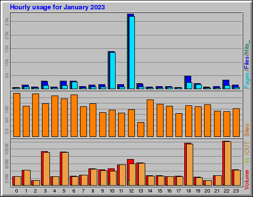 Raport Godzinowy -  styczeń 2023