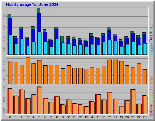 Raport Godzinowy -  czerwiec 2024