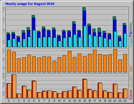 Raport Godzinowy -  sierpień 2024