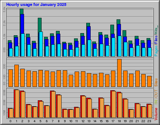 Raport Godzinowy -  styczeń 2025