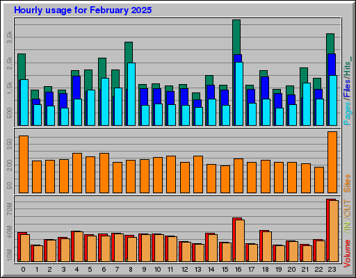 Raport Godzinowy -  luty 2025