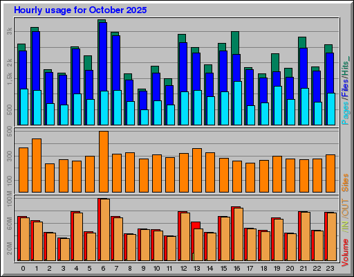 Raport Godzinowy -  październik 2025