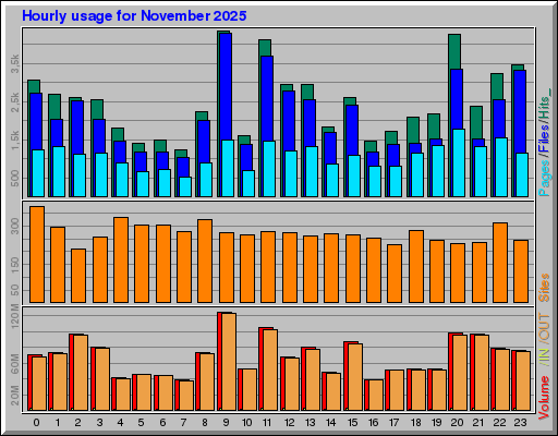 Raport Godzinowy -  listopad 2025