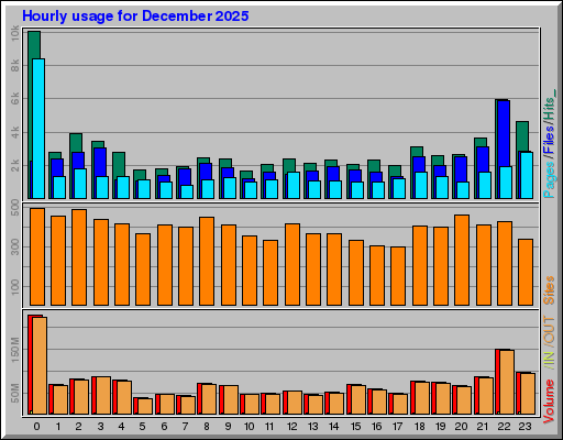 Raport Godzinowy -  grudzień 2025