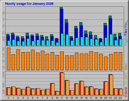 Raport Godzinowy -  styczeń 2026