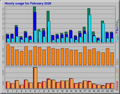 Raport Godzinowy -  luty 2026