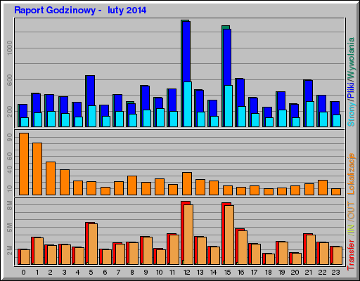 Raport Godzinowy -  luty 2014