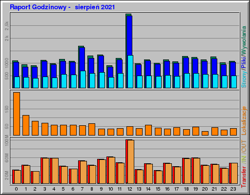 Raport Godzinowy -  sierpieĹ 2021
