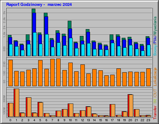 Raport Godzinowy -  marzec 2024