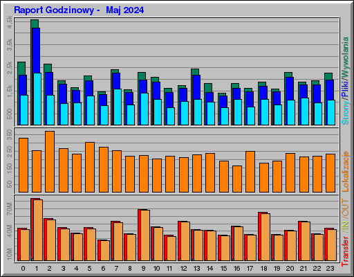 Raport Godzinowy -  Maj 2024