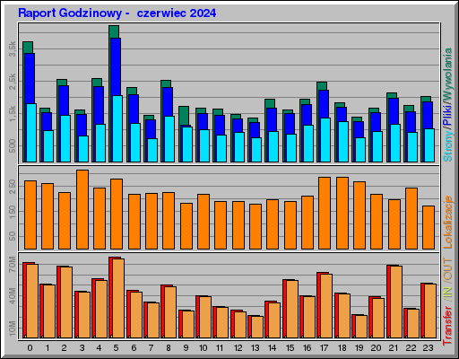 Raport Godzinowy -  czerwiec 2024