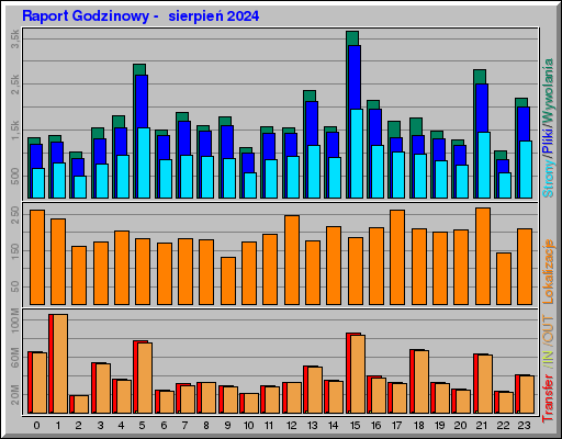 Raport Godzinowy -  sierpień 2024
