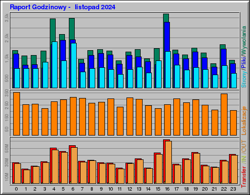 Raport Godzinowy -  listopad 2024