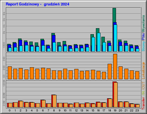 Raport Godzinowy -  grudzień 2024