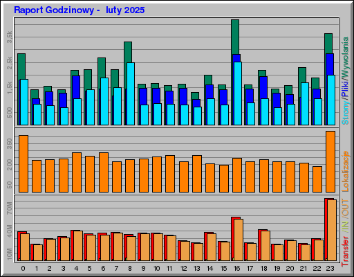Raport Godzinowy -  luty 2025