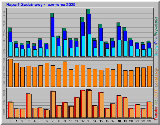 Raport Godzinowy -  czerwiec 2025