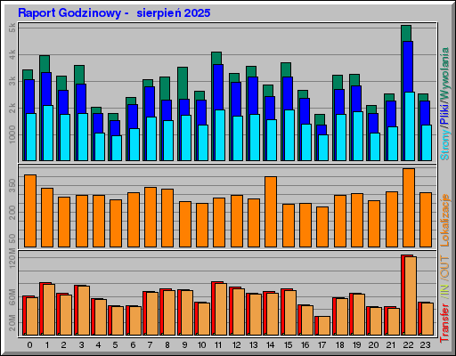 Raport Godzinowy -  sierpień 2025