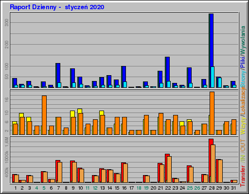 Raport Dzienny -  styczeń 2020