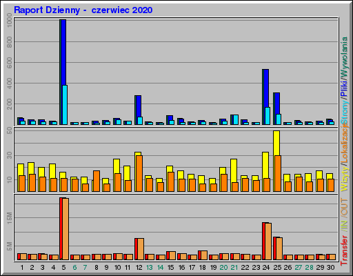 Raport Dzienny -  czerwiec 2020