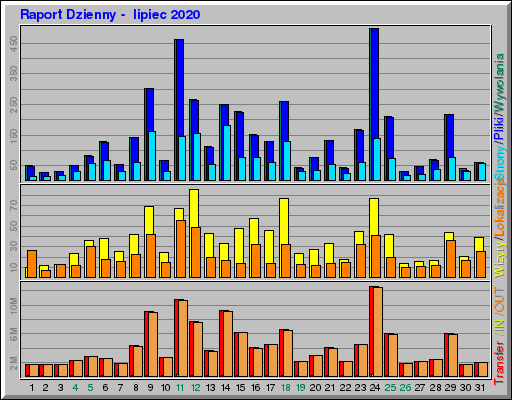 Raport Dzienny -  lipiec 2020