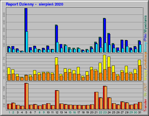 Raport Dzienny -  sierpień 2020