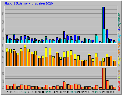 Raport Dzienny -  grudzień 2020