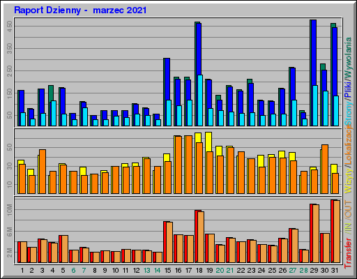 Raport Dzienny -  marzec 2021