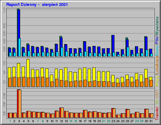 Raport Dzienny -  sierpień 2021