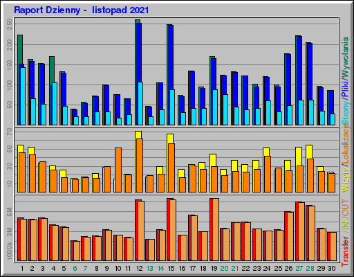 Raport Dzienny -  listopad 2021