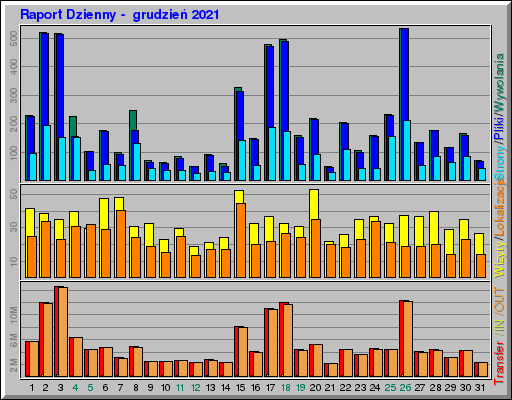 Raport Dzienny -  grudzień 2021