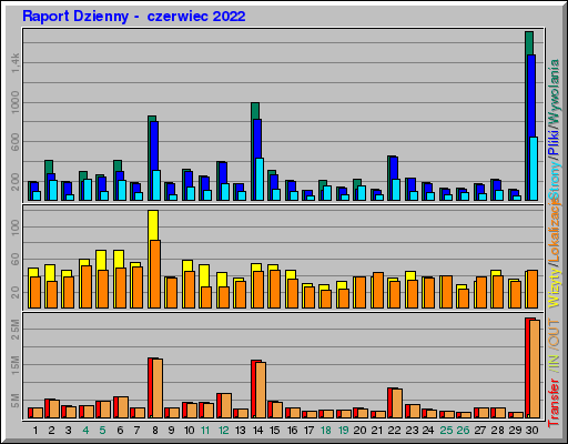 Raport Dzienny -  czerwiec 2022