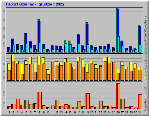 Raport Dzienny -  grudzień 2022