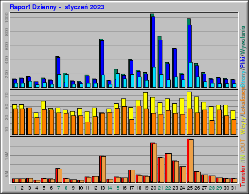 Raport Dzienny -  styczeń 2023