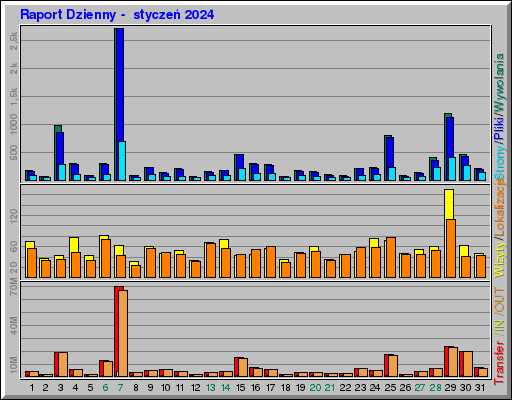 Raport Dzienny -  styczeń 2024