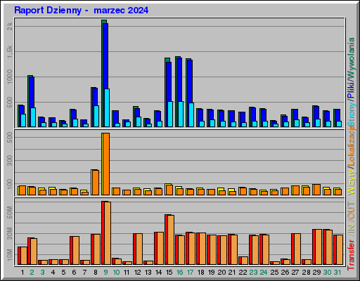 Raport Dzienny -  marzec 2024